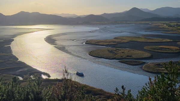 순천만의 가을 풍경