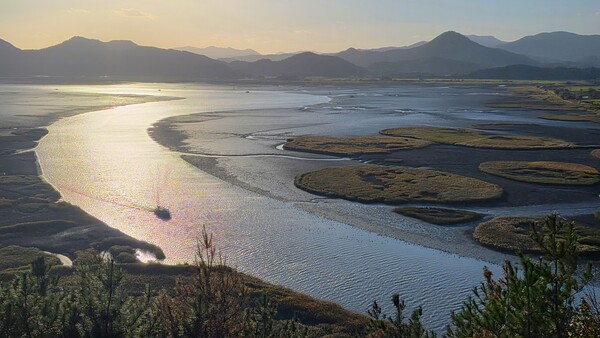 순천만의 가을 풍경