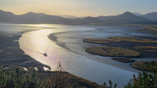 순천만의 가을 풍경