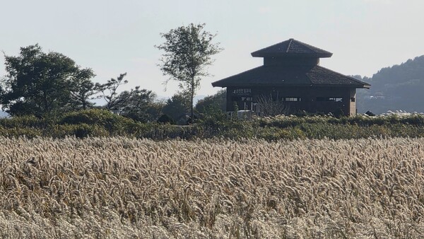 순천만의 가을풍경