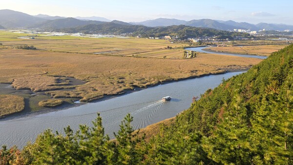 순천만의 가을풍경