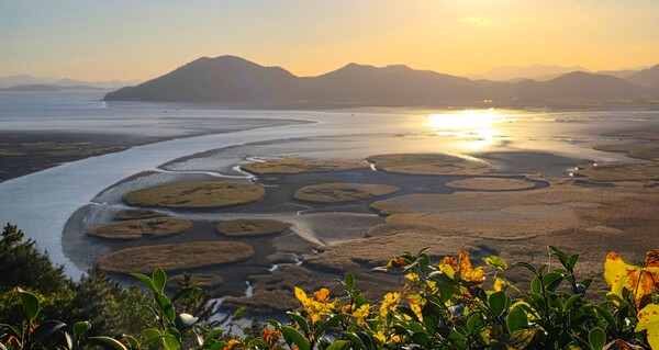 순천만의 가을풍경
