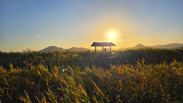 순천만의 가을풍경