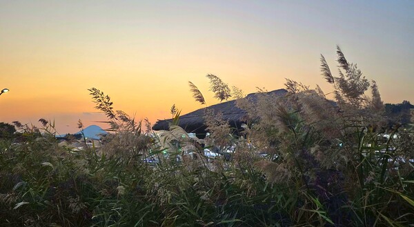 순천만의 가을풍경