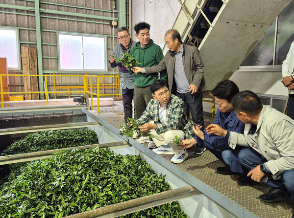 김철우 군수 등 관계자들이 시즈오카현립 차업연구센터에서 스마트 가공·품질 관리 시스템을 확인하고 있다. [사진=보성군]